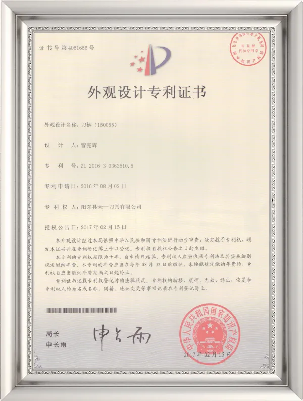 20170215 Knife handle appearance Knife handle (150055)