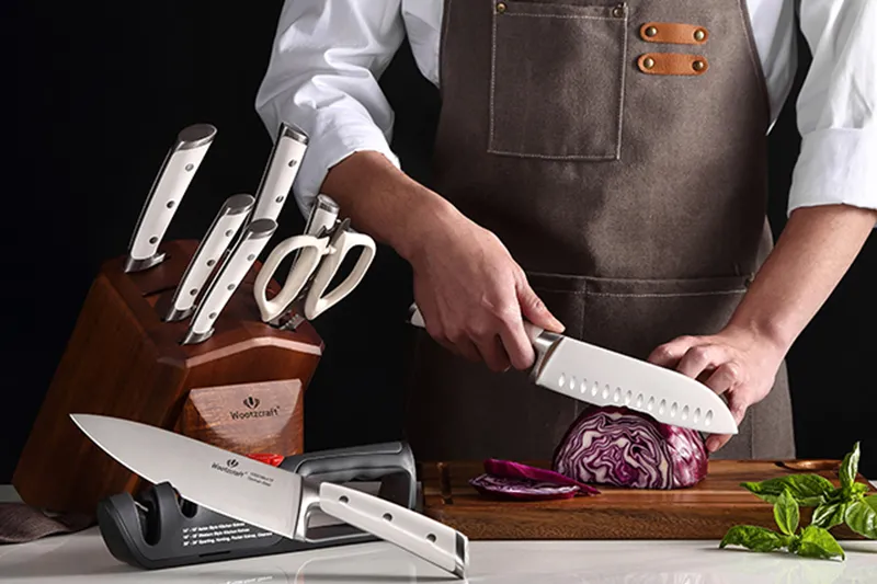 N4 Series 10-piece Kitchen Knife Set