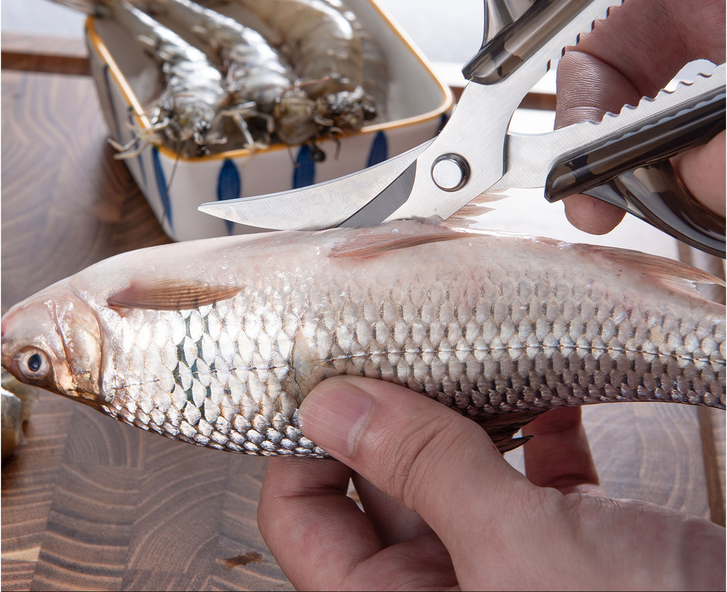 KS Series KS-17 Seafood Scissors